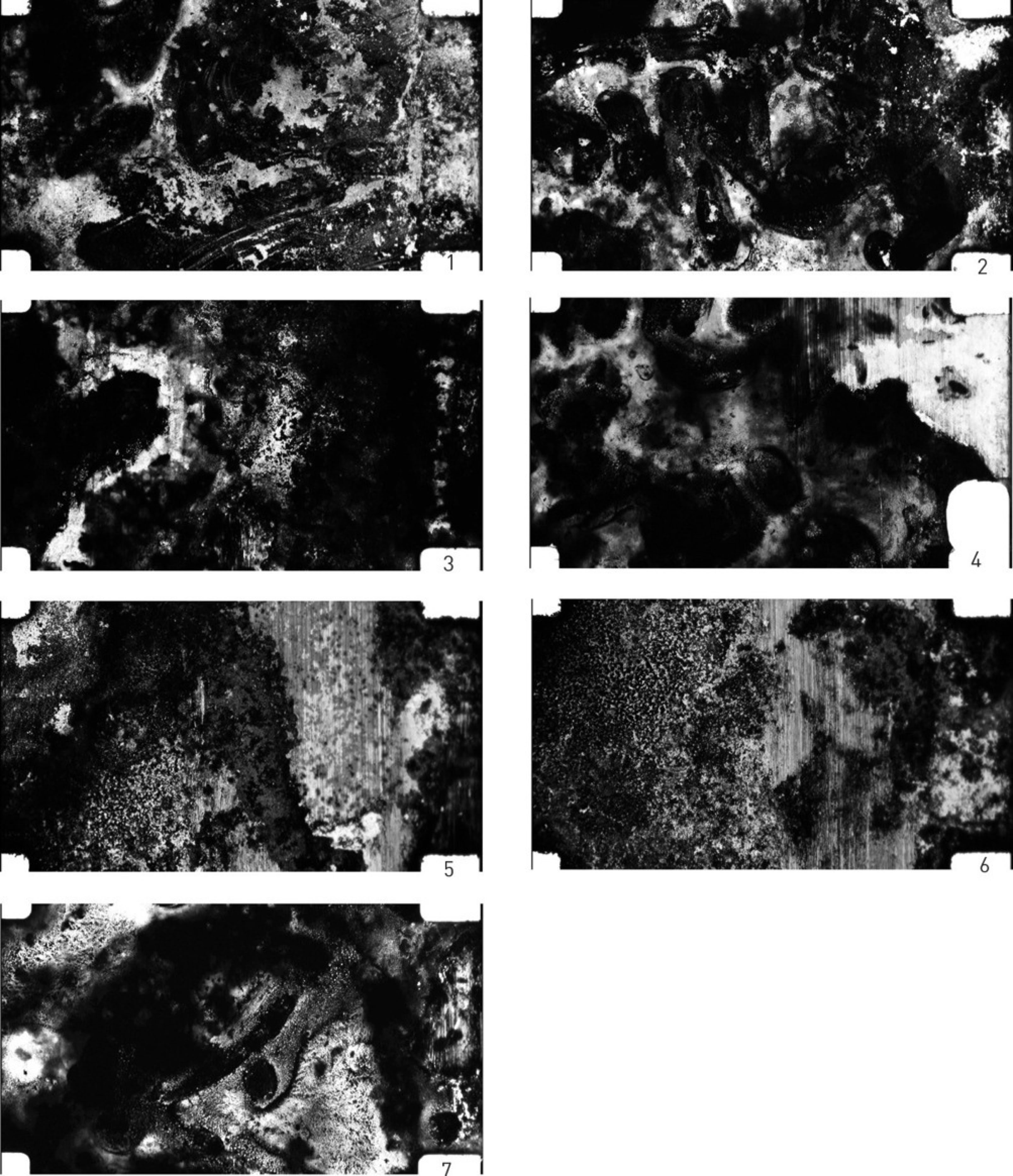Vanessa Ramos-Velasquez 